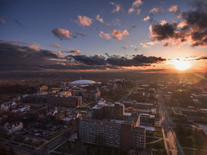 Syracuse University religion professor M. Gail Hamner disinvited documentary filmmaker Shimon Dotan because she feared his film about Israeli settlers would anger BDS activists on campus.  