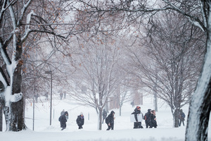 These hikes offer a range of experience level and distance from campus, a perfect way to get outside this winter and enjoy what the central New York region has to offer.